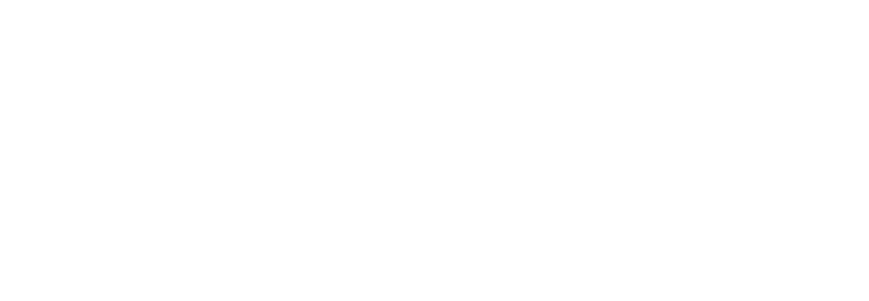 PLUS FINFLUENCER LAB
